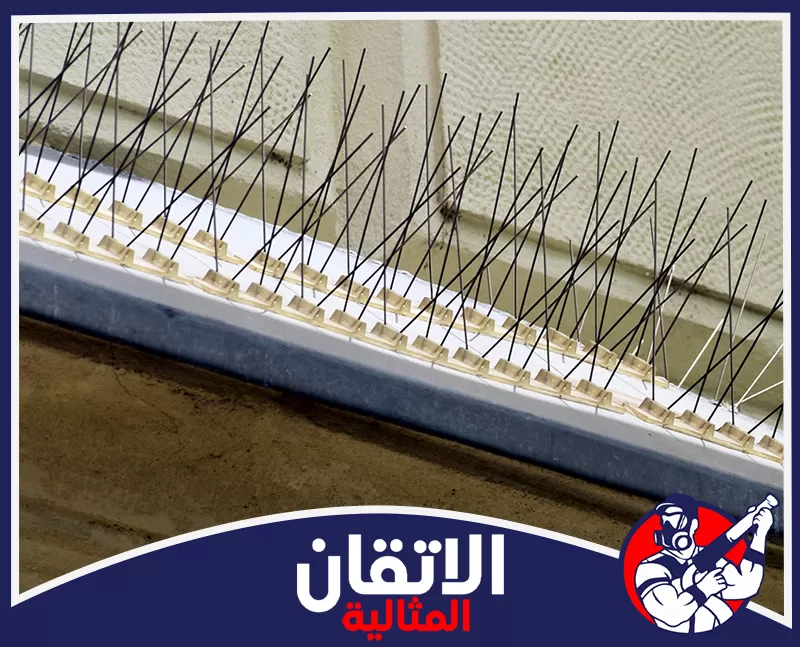 شركة تركيب طارد الجمام بالقطيف 0567008659 أتقان المثالية تركيب طارد حمام بالقطيف بمسامير آمنة تحمي حواف المباني من وقوف الطيور وتراكم الفضلات يوميًا. بكفاءة.