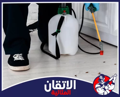 مكافحة الصراصير بالخبر 0567008659 أتقان المثالية مكافحة الصراصير بالخبر برش موجه على الأرضيات وأماكن الحركة للقضاء على مصدر الإصابة