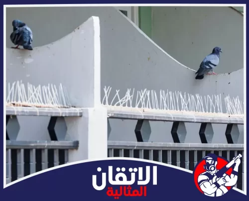 تركيب طرد الحمام من الأسطح بالقطيف 0567008659 أتقان المثالية مكافحة الحمام بالقطيف بحواجز شفافة للشرفات تمنع تجمع الطيور وتحافظ على نظافة الواجهات. وهدوء المكان.
