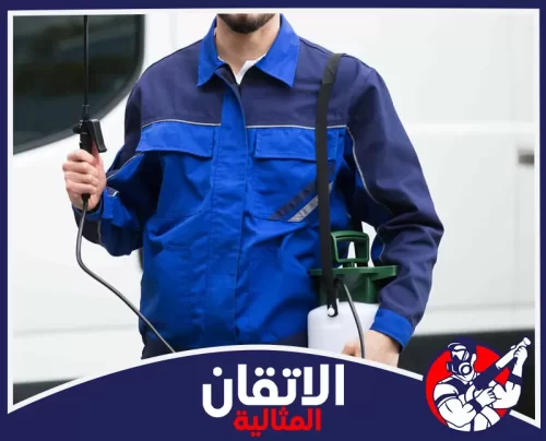 شركة إبادة الحشرات بالجبيل 0567008659 أتقان المثالية شركة رش مبيدات بالجبيل بفريق مجهز لمعالجة المنازل والفلل والمطاعم بسرعة مع أدوات رش احترافية.