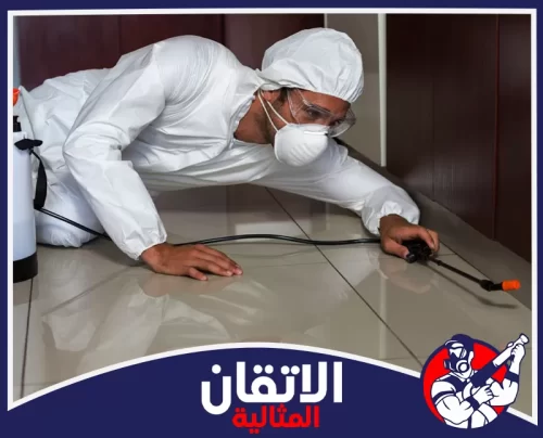 فني مكافحة حشرات بالدمام 0567008659 اتقان المثالية فني مكافحة الصراصير بالدمام يعالج شقوق المطبخ والحمام بدقة لضمان مكان أنظف وبيئة منزلية وآمنة جدًا.