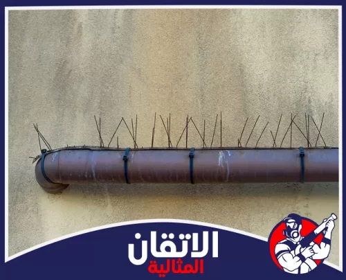 مكافحة الحمام بالقطيف 0567008659 أتقان المثالية شركة طرد الحمام بالقطيف تثبت طارد الطيور حول المواسير لحماية الجدران من البقع والروائح. وبمظهر مرتب.