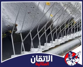 شركة تركيب طارد الحمام في الخبر