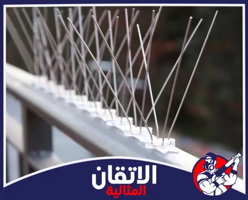 شركة تركيب طارد الحمام بالجبيل 0567008659 شركة أتقان المثالية أشواك مانعة للحمام مثبتة بدقة لحماية النوافذ والأسوار من تجمع الطيور مع شركة مكافحة الحمام بالجبيل.