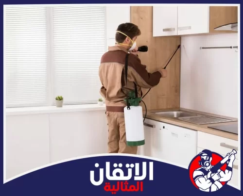 مكافحة البق بالجبيل 0567008659 أتقان المثالية فني أتقان المثالية ينفذ شركة مكافحة الحشرات بالجبيل داخل المطبخ برش آمن ودقيق يصل للزوايا المخفية.