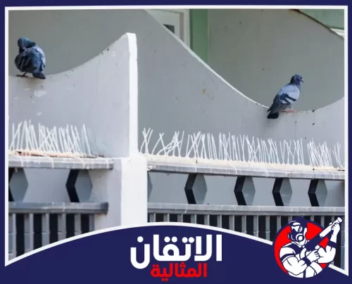 تركيب حماية المكيفات الخارجية بالاحساء 0567008659 شركة أتقان المثالية نقوم في شركة تركيب طارد الحمام بالاحساء بتركيب طارد يمنع الوقوف فوق الوحدات الخارجية ويحافظ على النظافة.
