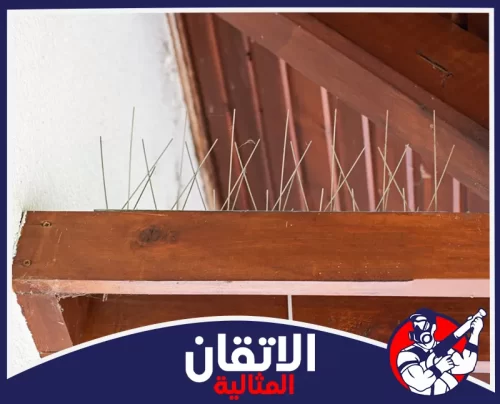 تركيب طارد حمام للأسطح بالجبيل 0567008659 شركة أتقان المثالية حل عملي لحماية الأسطح والأسوار عبر تركيب أشواك طارد الحمام بالجبيل وتقليل التعشيش والاتساخ.