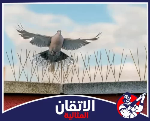 تركيب أشواك حمام بالجبيل 0567008659 شركة أتقان المثالية تركيب طارد الحمام بالجبيل يمنع وقوف الطيور فوق الأسطح ويحافظ على نظافة الواجهات من الفضلات.