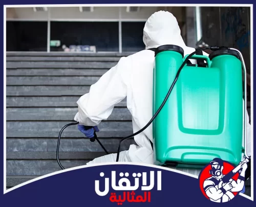 شركة رش مبيدات بالدمام 0567008659 اتقان المثالية فني رش مبيدات بالدمام يستخدم رشاشًا احترافيًا لمعالجة المداخل والممرات حول المباني بدقّة عالية.