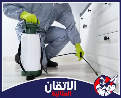 مكافحة النمل الأبيض بالخبر 0567008659 أتقان المثالية خدمة مكافحة النمل الأبيض بالخبر داخل المطابخ والخزائن لحماية الأخشاب من التلف الصامت