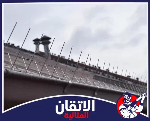 شركة تركيب شبك مانع الحمام بالقطيف 0567008659 أتقان المثالية تركيب طارد حمام بالقطيف على حافة السطح لحماية الواجهة من الوقوف والفضلات بشكل ثابت ومنظم وآمن دائمًا