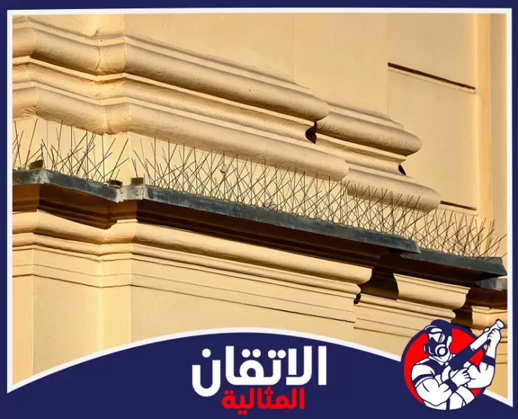 شركة تركيب طارد الحمام بالخبر