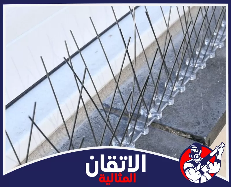 طارد الحمام والطيور من الأسطح بالخبر | 0567008659 | شركة الاتقان المثالية أشواك منع الحمام مثبتة على حافة النوافذ لتقليل تجمع الطيور مع الحفاظ على مظهر الواجهة الخارجية.