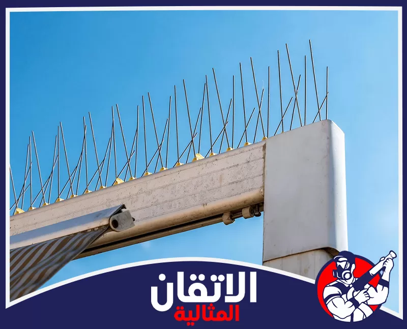 جهاز طارد الحمام بالخبر | 0567008659 | شركة الاتقان المثالية حماية المظلات من الحمام باستخدام صفوف أشواك موزعة على الحواف العلوية لمنع استقرار الطيور فوقها.