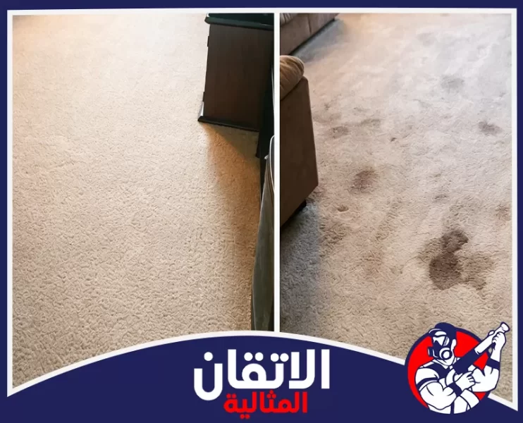 شركة تنظيف بالقطيف