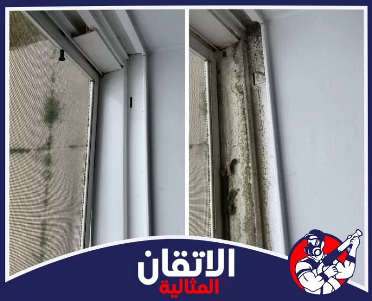 شركة تنظيف بالاحساء