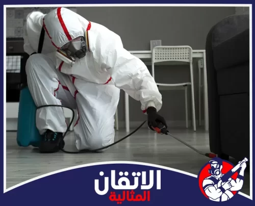 مكافحة بق الفراش بالقطيف تبدأ بفحص المراتب وحواف الأسرة وتحديد بؤر الإصابة قبل تنفيذ العلاج المناسب.