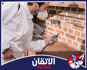 شركة مكافحة حشرات بالقطيف من اتقان المثالية تعاين أماكن انتشار الحشرات قبيل تنفيذ المعالجة المناسبة.